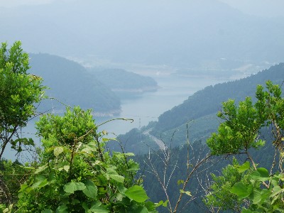 南山山頂から宮ヶ瀬湖