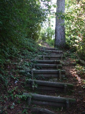 散策コースの階段